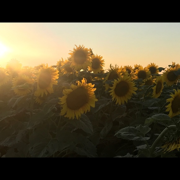 Meet your Posher, Jen - Picture 1 of 1